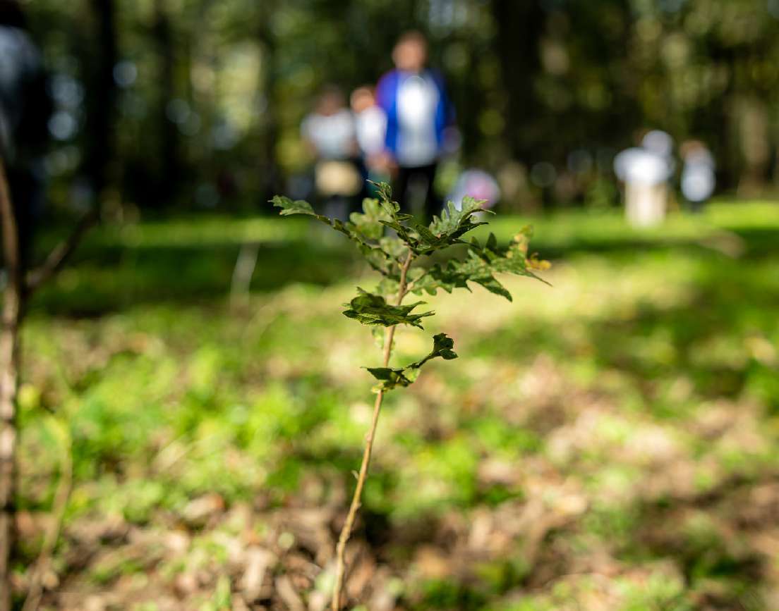 Monitoring i izvještavanje
